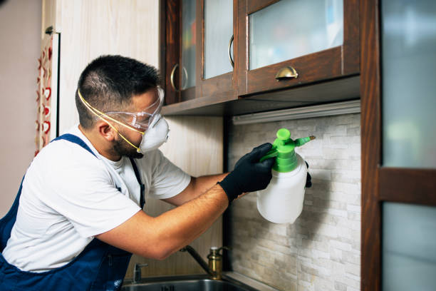 Best Pest Control Near Me  in Marysville, MI