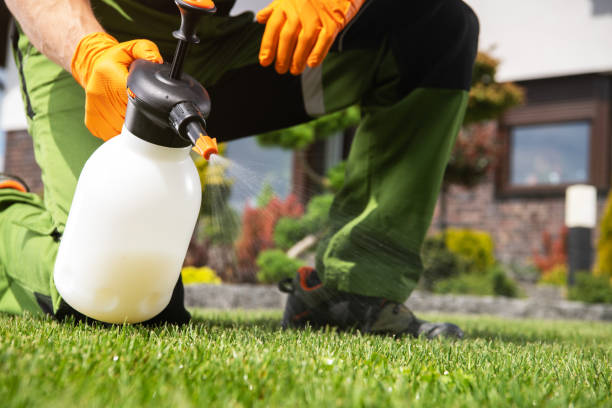 Best Best Pest Control Near Me  in Marysville, MI