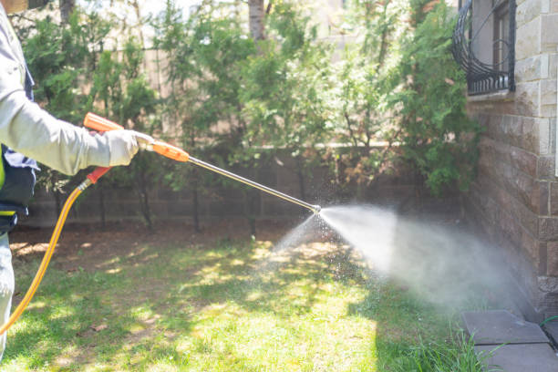 Best Emergency Pest Control  in Marysville, MI