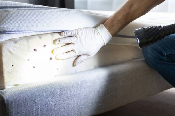 Best Affordable Pest Control Services  in Marysville, MI