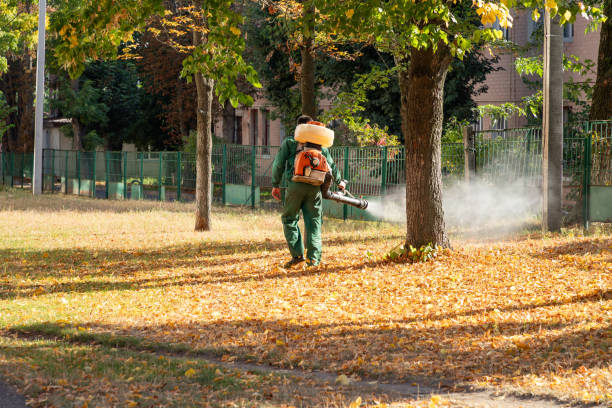 Best Exterminator Services  in Marysville, MI