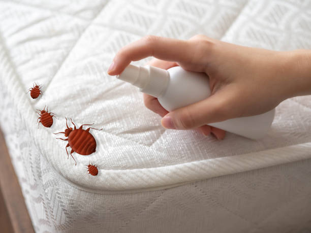 Trusted Marysville, MI Pest Control Experts