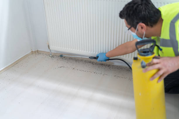 Best Pest Inspection Near Me  in Marysville, MI