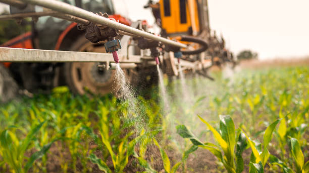 Best Ant Control Services  in Marysville, MI