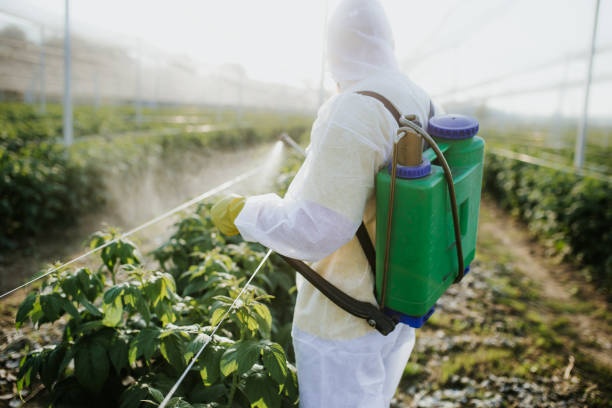 Best Flea Control Services  in Marysville, MI